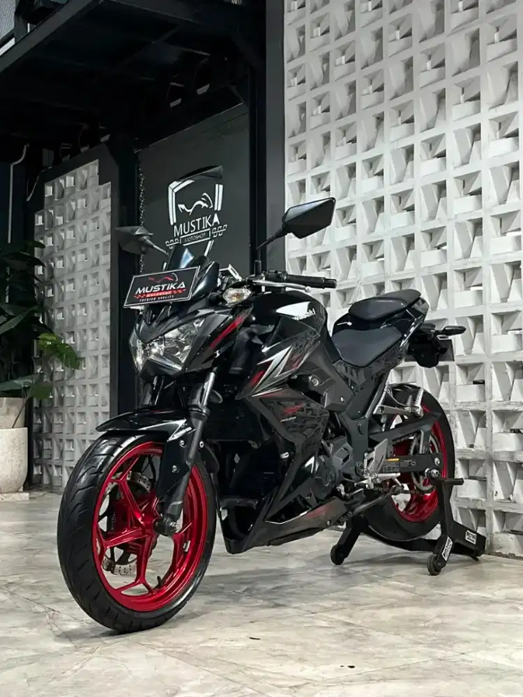 KAWASAKI Z250 SE ABS 2016 - Chintia Mustika