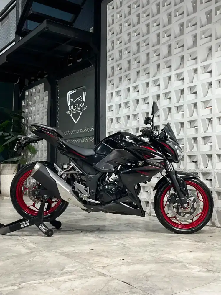 KAWASAKI Z250 SE ABS 2016 - Chintia Mustika