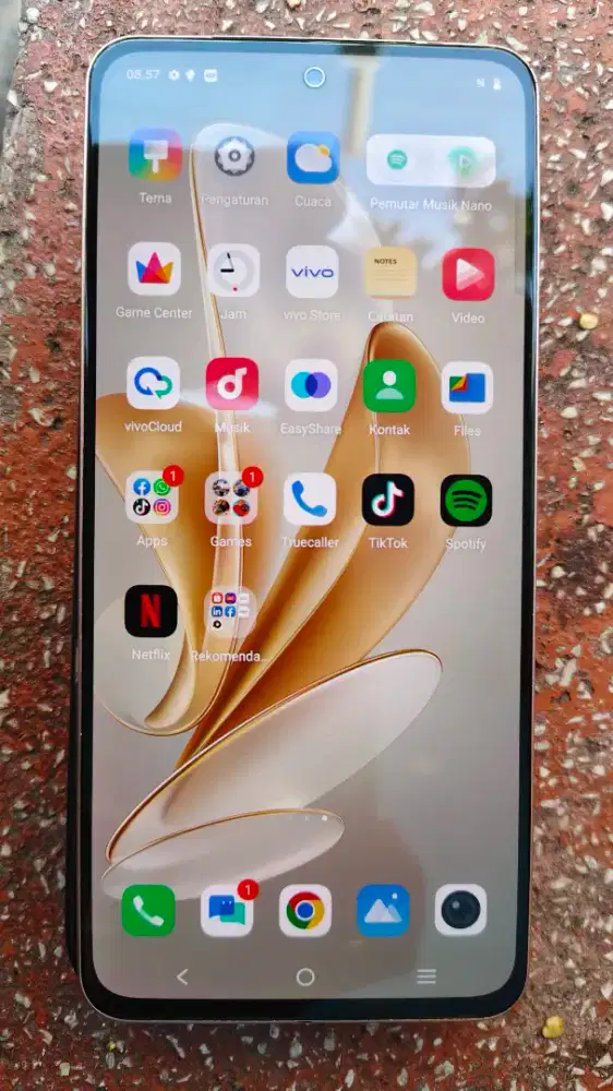 Vivo V29e (8/256)