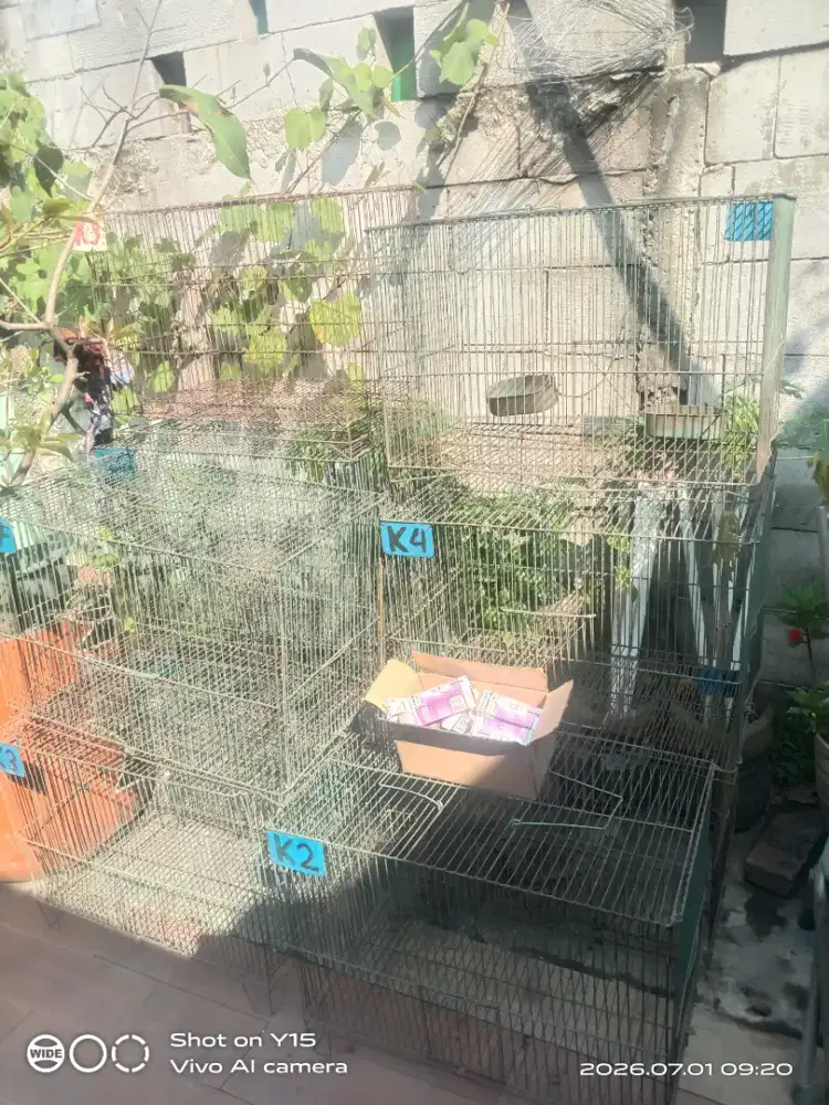 Jual cepat kandang kandang bekas kucing