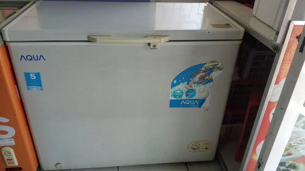 Frezer Box Aqua 300 liter