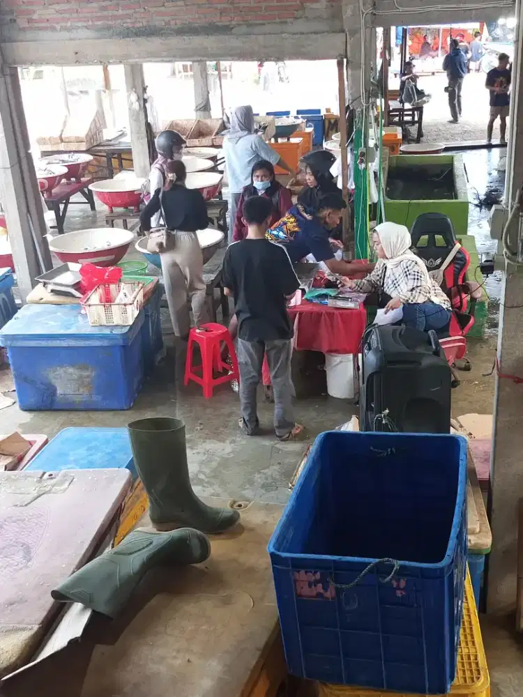 Kios ikan istana naufidz