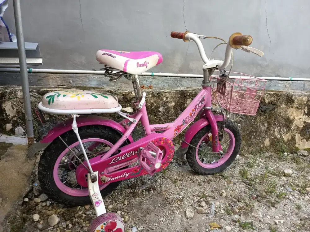 Sepeda anak 6 tahun kebawah