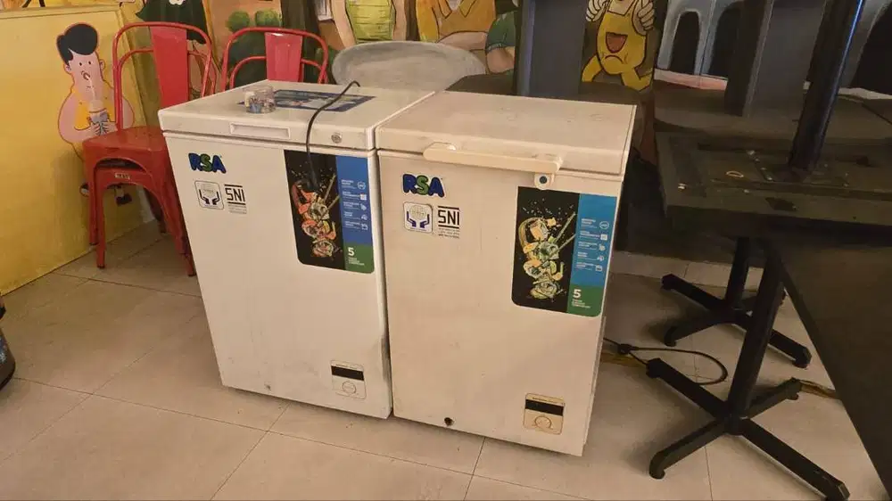 Freezer RSA 100 Liter