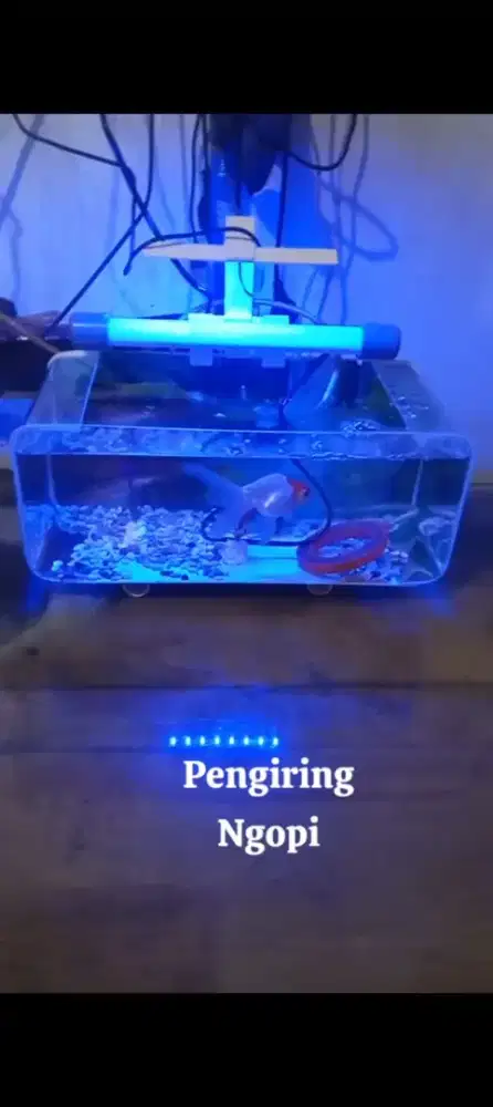 Aquarium minimalis