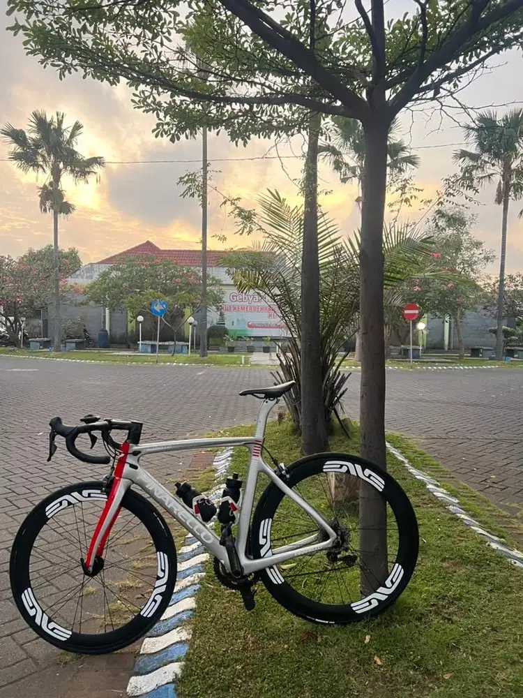 Pinarello Rimbreak