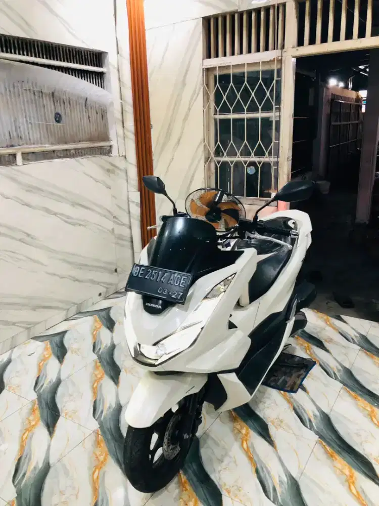 PCX NEW PANORAMIC ISFIMEWA 2023 Pajak Hidup