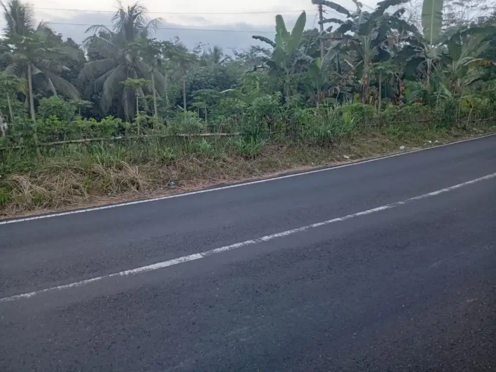 TANAH MURAH DI PENGADEGAN PURBALINGGA JAWA TENGAH