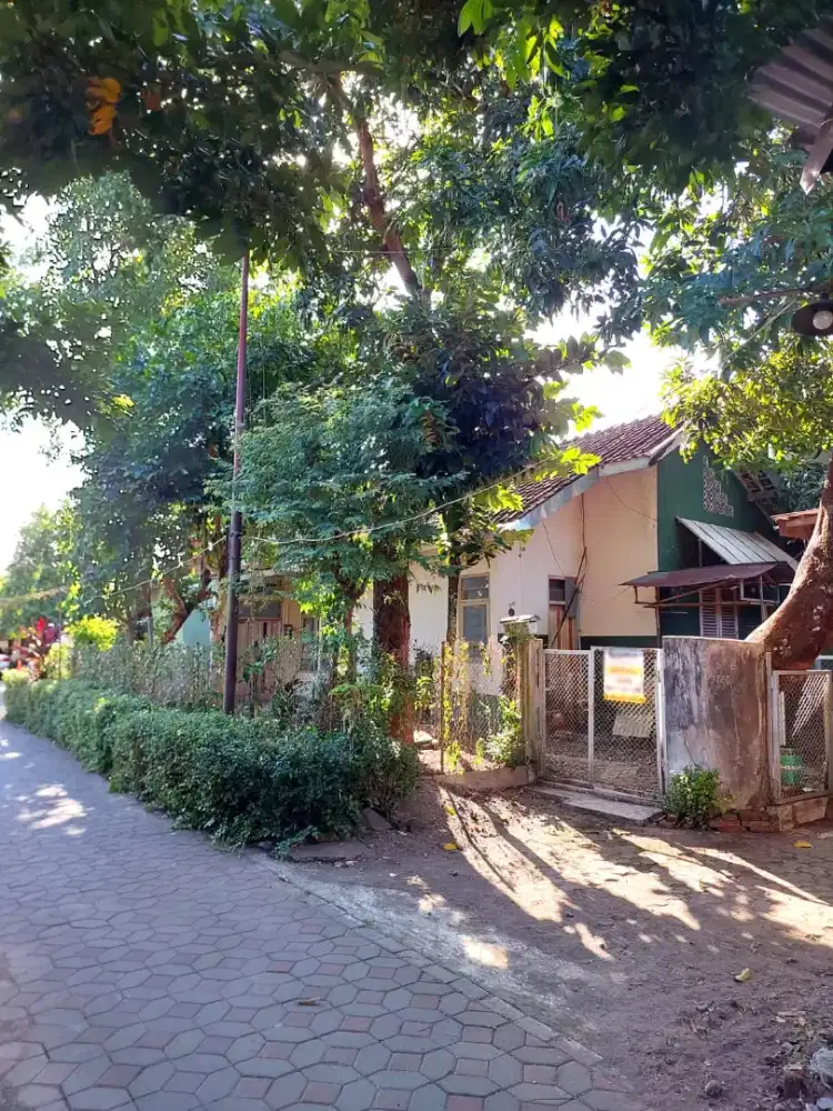 Rumah Klasik Halaman Luas dekat Jalan Taman Siswa