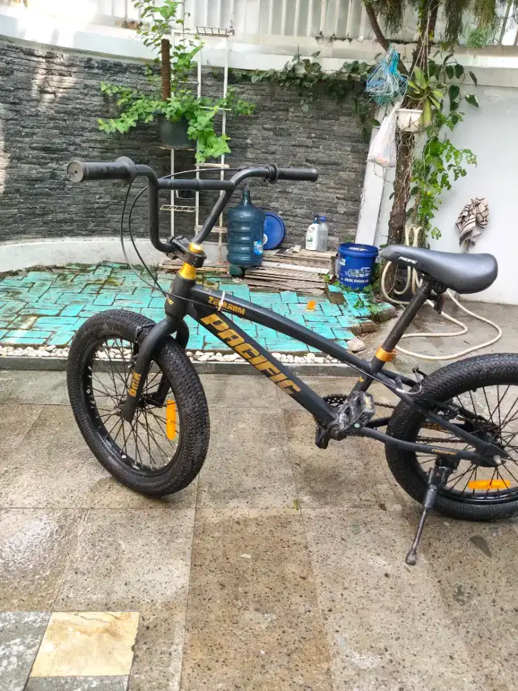 Sepeda Pasific BMX ban lebar