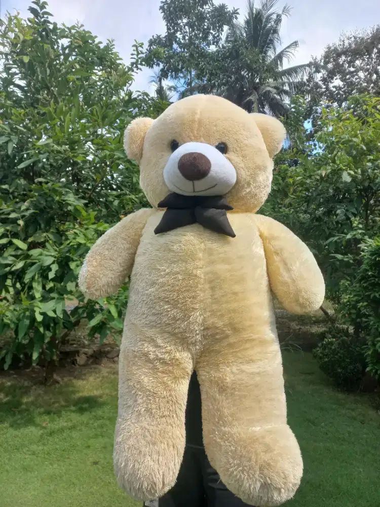 Boneka teddy bear jumbo