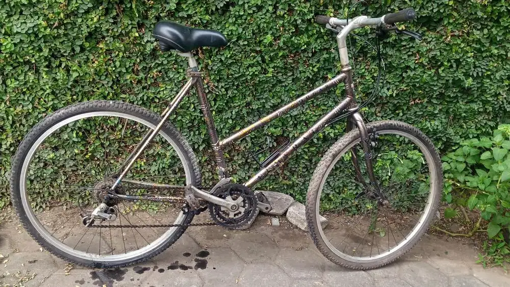 mtb federal cougar