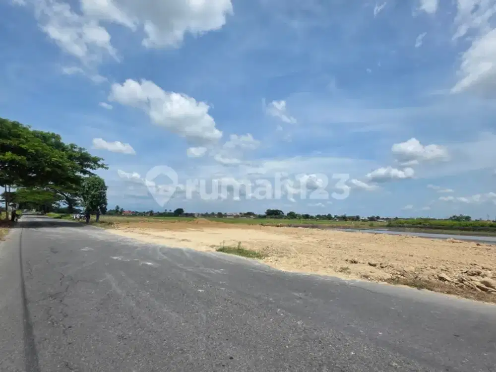 Tanah Pekarangan Strategis Dekat Bandara Harga Termurah Sekali