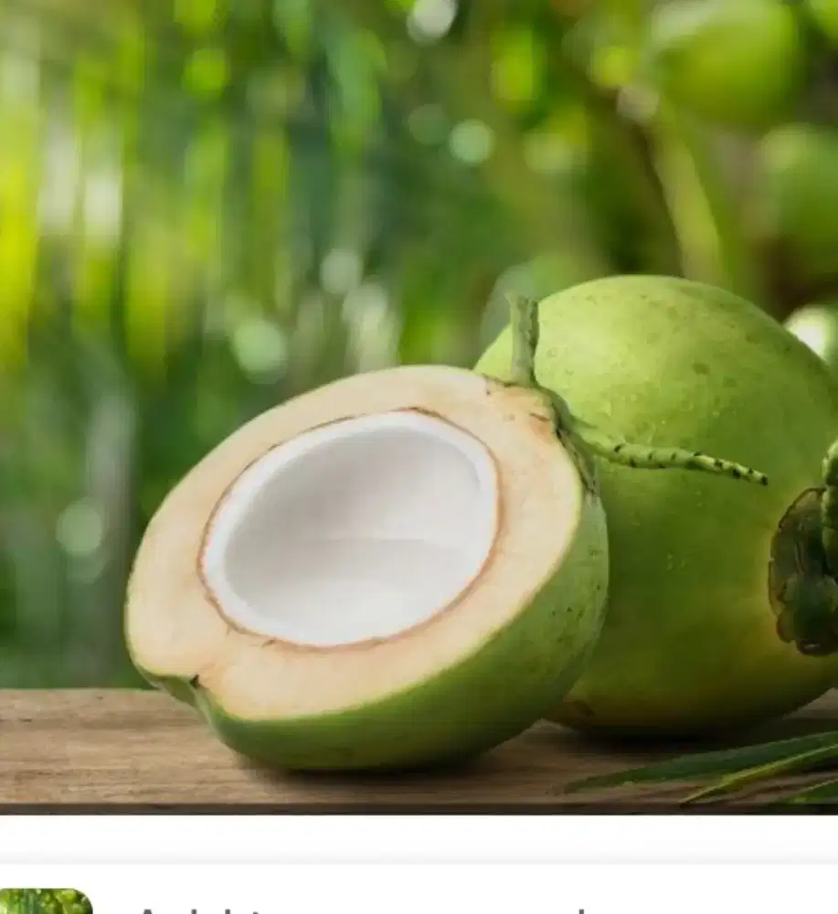 Karyawan Distributor Kelapa Muda