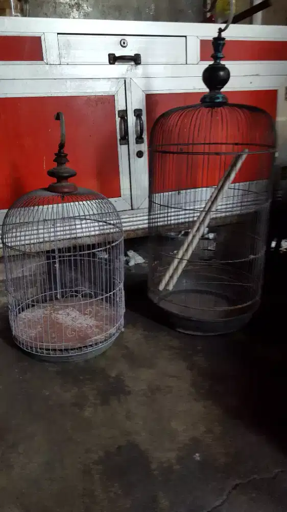 Kandang Burung Lovebird