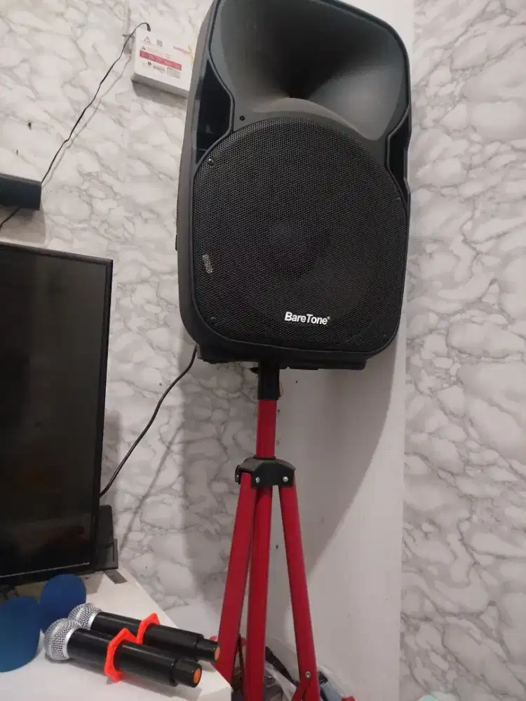Speaker portable / karaoke portable set
