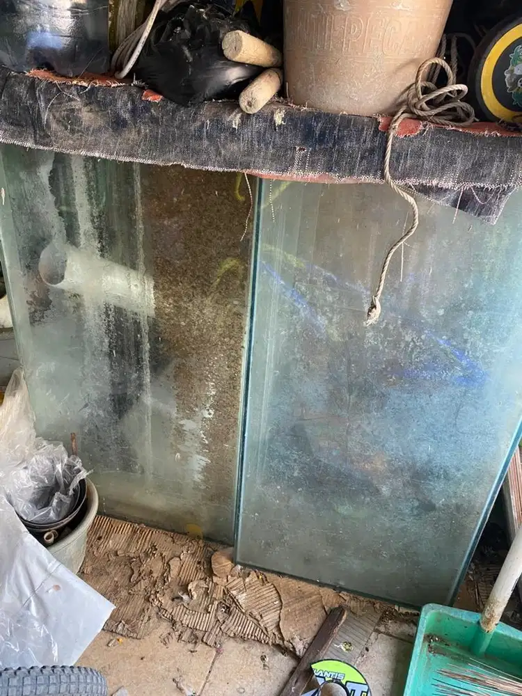 Aquarium bekas ikan koi