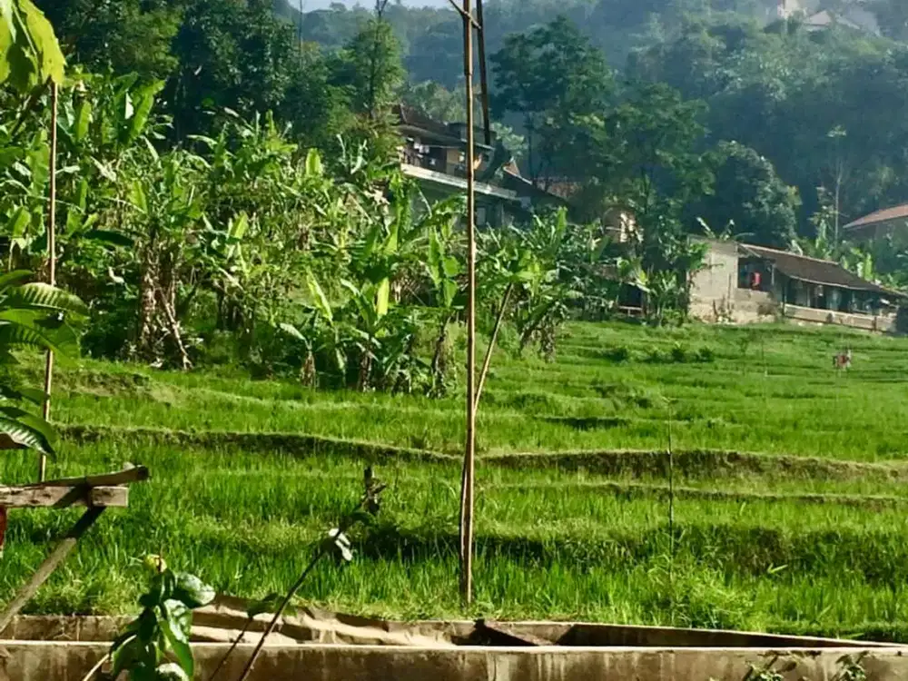 Jual Tanah Kavling Cimenyan Bandung 1806m2 Dekat The Valley Resort