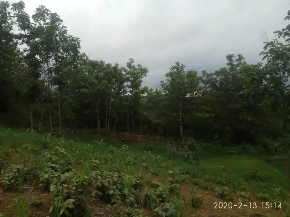Dijual Tanah Didekat Wisata Gopark ciletuh