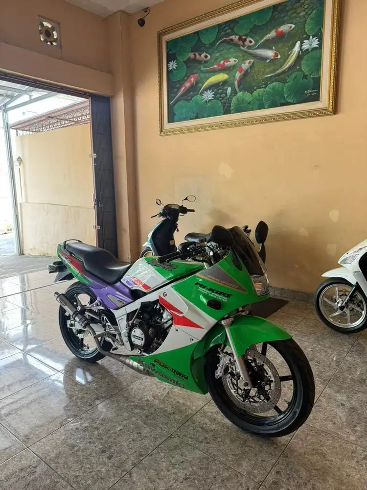 Ninja SS Full mods SSR