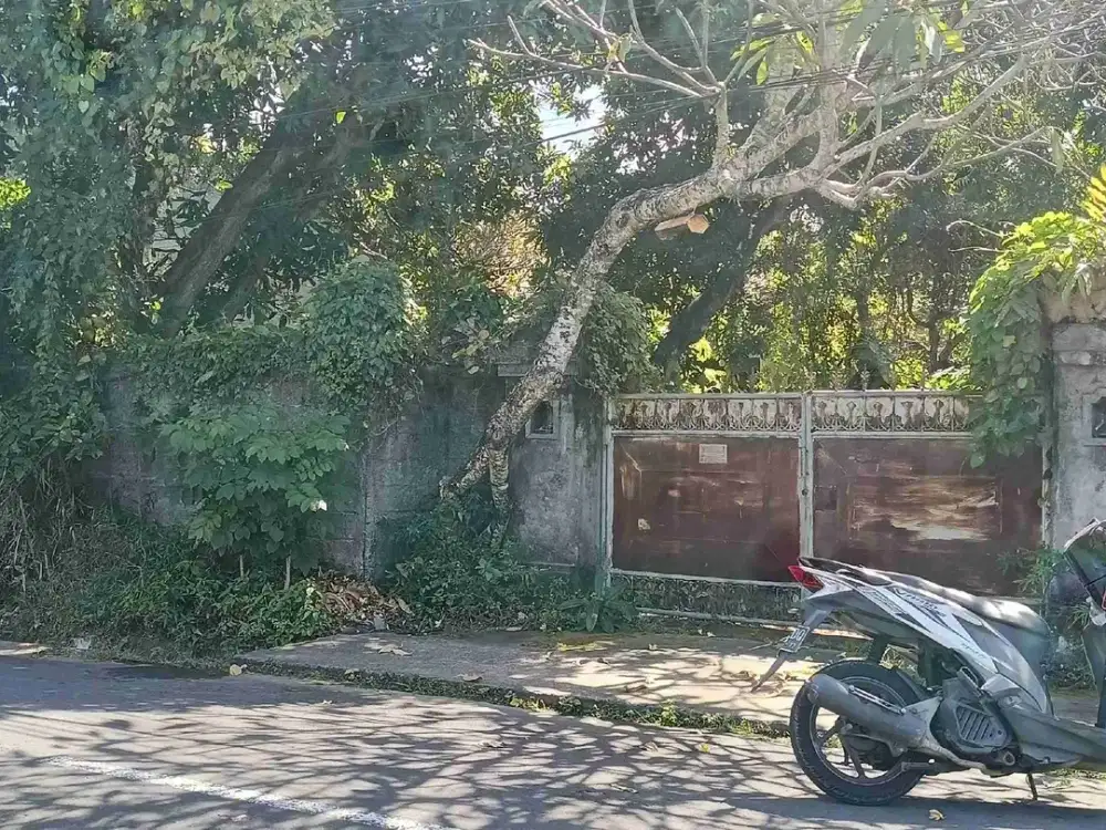di sewakan tanah 5are di merdeka
