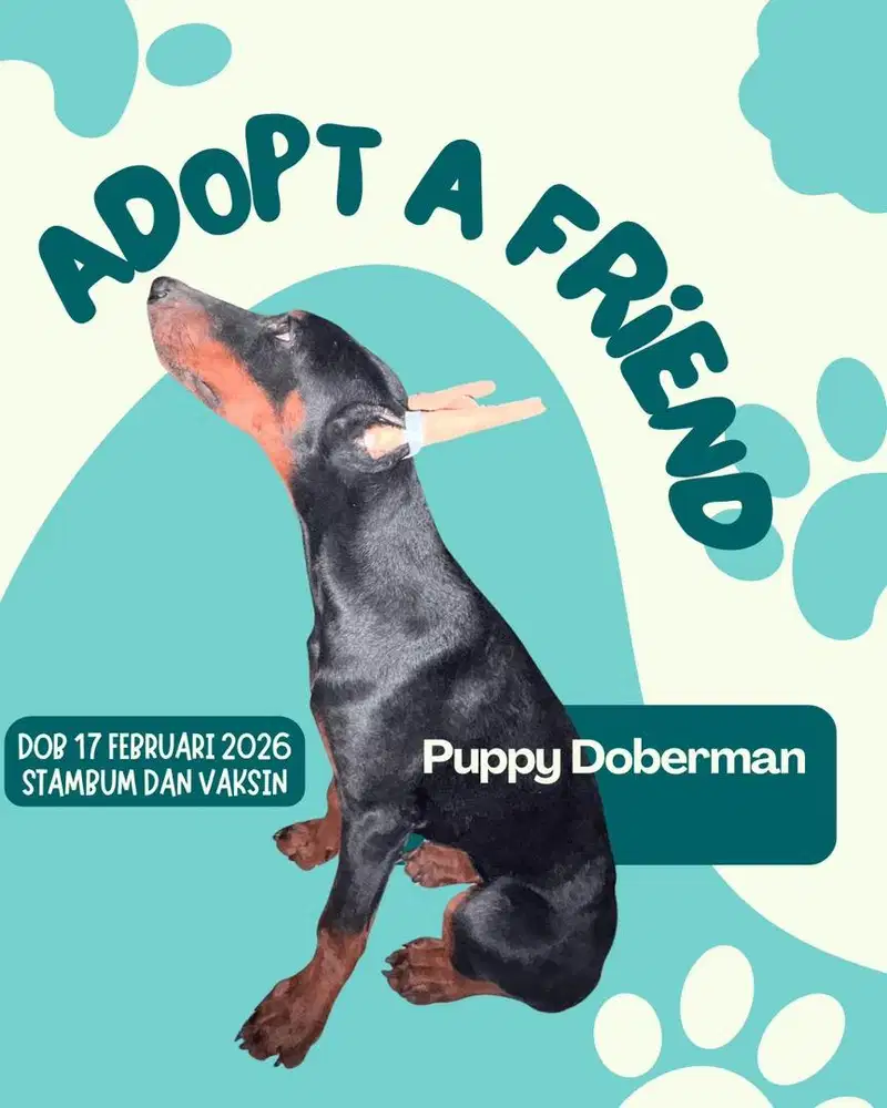 Anakan Doberman