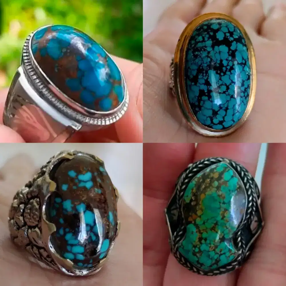 Pirus persia hubey borongan murmer