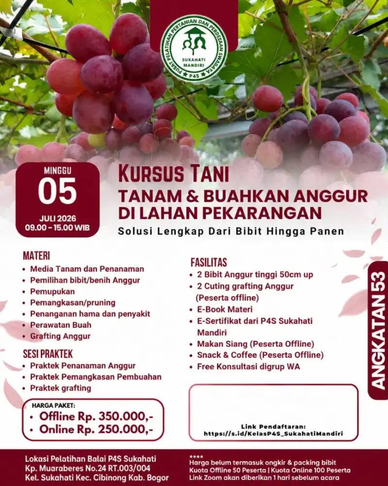 Pelatihan Budidaya Anggur Impor