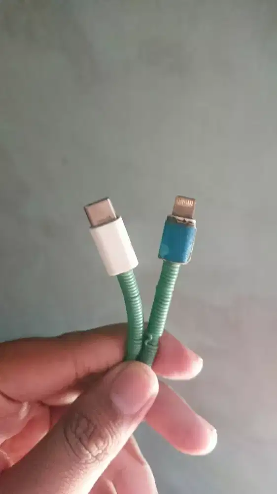Apple USB C To Lightning