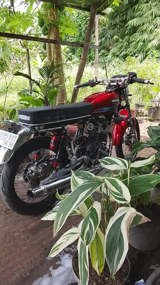 Honda cb (Tiger)