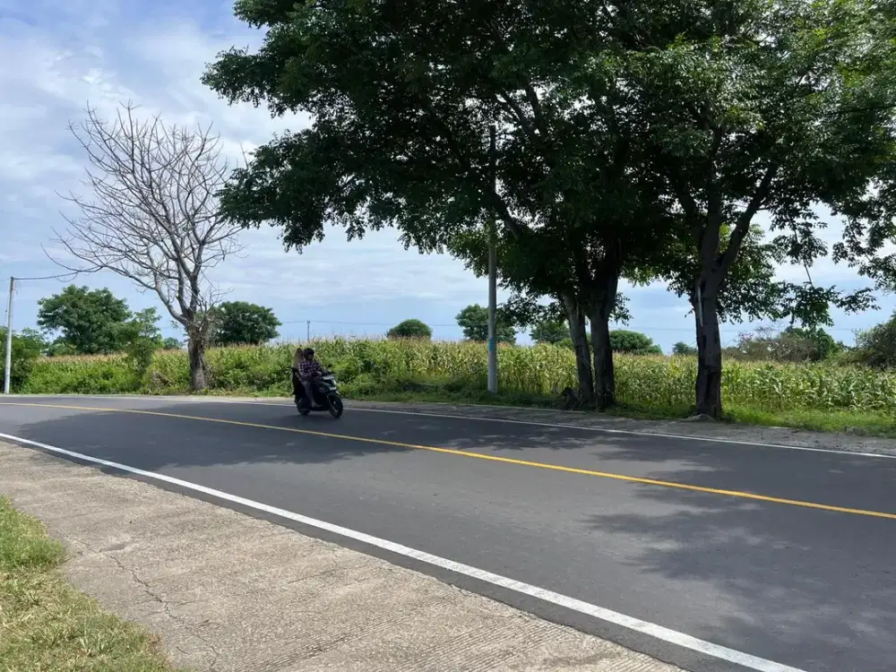 Tanah view laut pinggir jalan raya Gondang lombok utara