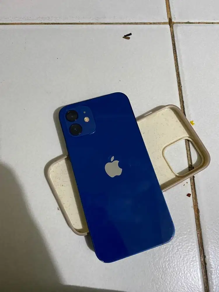 iphone 12 256 inter