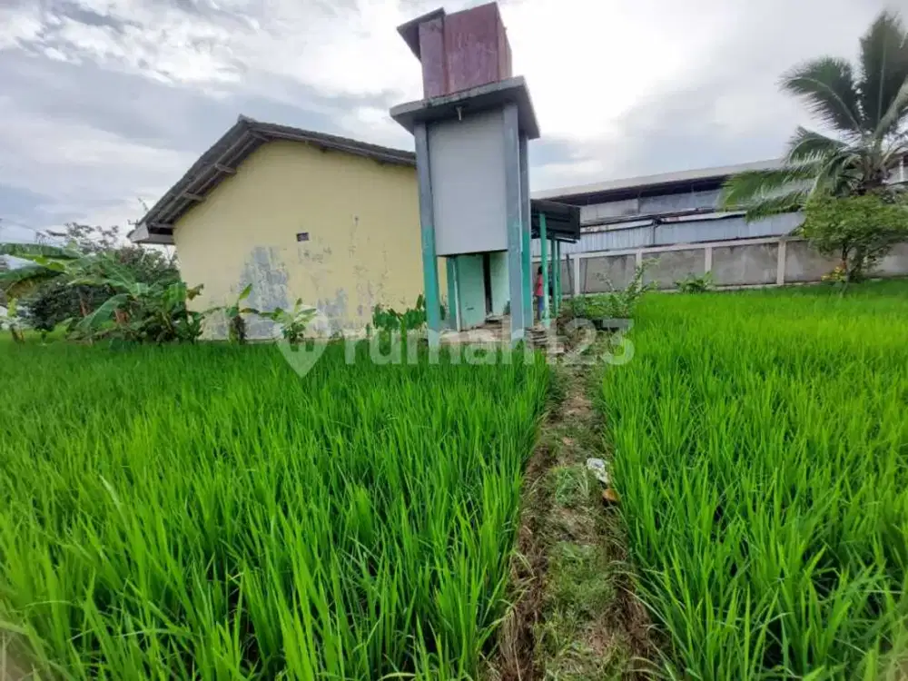Tanah, di Jual Murah Tanah Lahan di Cariu Bogor