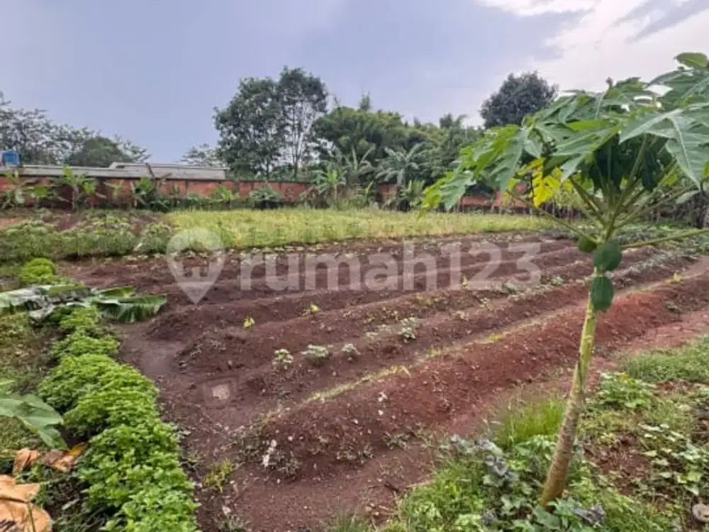 Tanah, Jual Murah di Bermis BSD