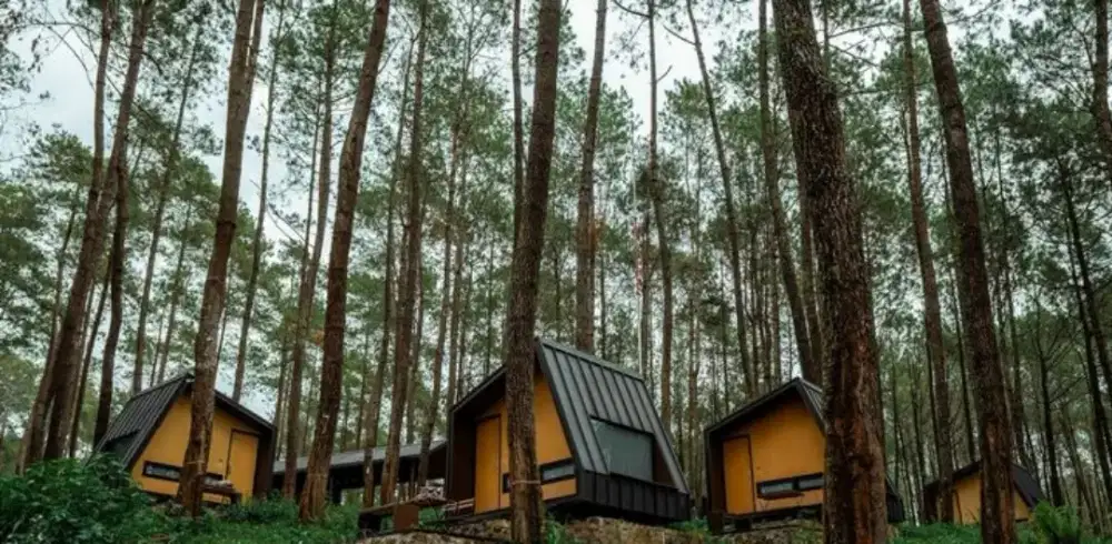 Jual Rugi Hotel Bobocabin Cikole Bandung
