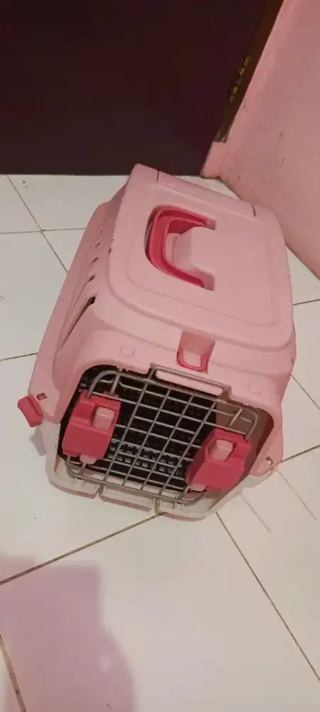 Pet Cargo Untuk Kucing