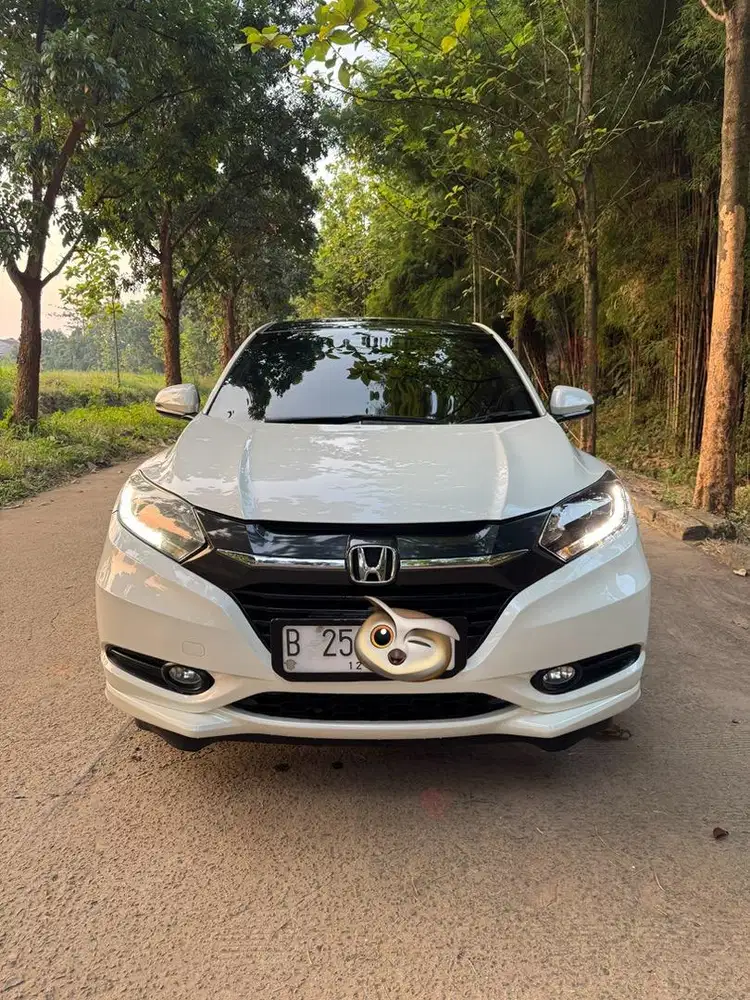 Hrv prestige nik 2018