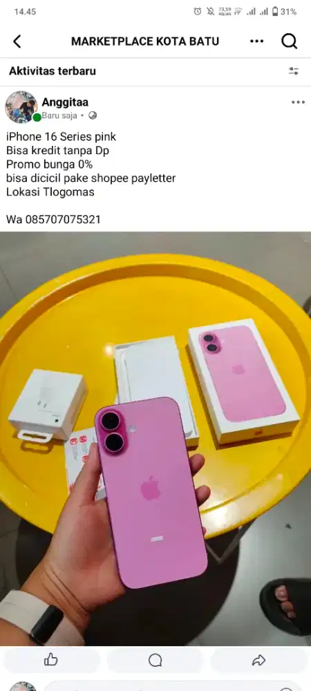 iPhone 16 Series pink