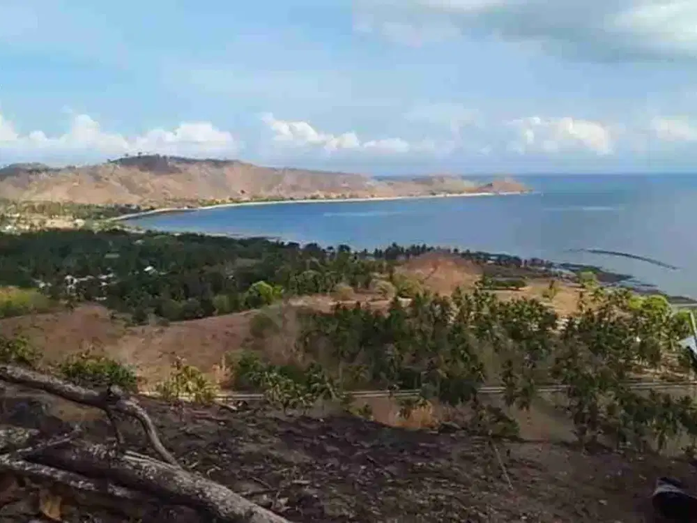huge land with ocean view in labuan pon sekotong freehold title