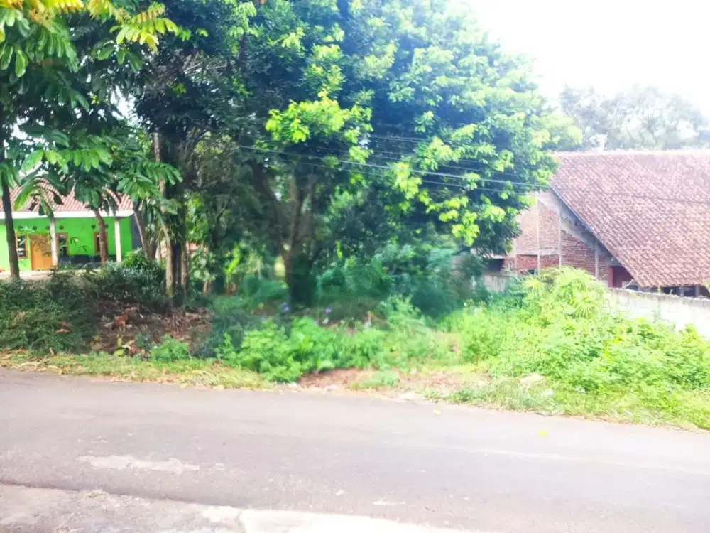 Tanah Kampung Murah Nempel Jalan di Watusari Patemon Gunungpati