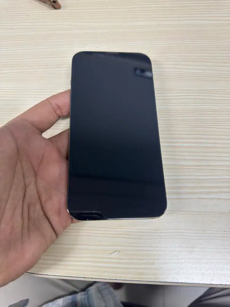 iPhone 13 Pro 256Gb iBox green