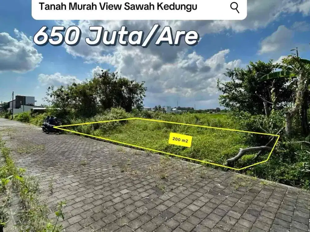 SALE TANAH VIEW SAWAH DEKAT PANTAI KEDUNGU