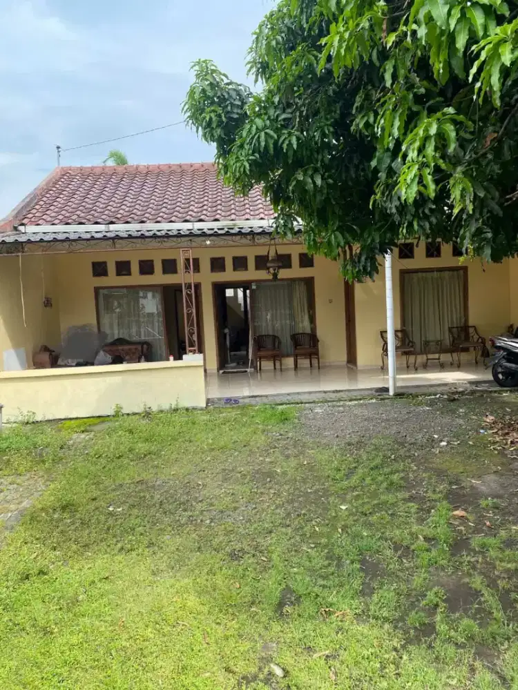 Rumah Luas Di Sleman-Jogja