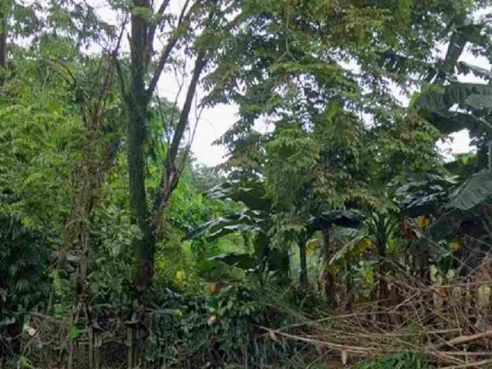 Kavling depok kavling margonda raya