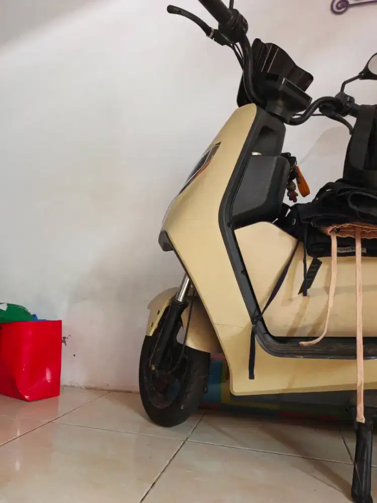 Speda listrik + Bagasi