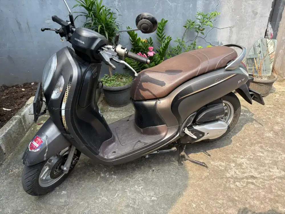 Sco0py 2023 pajak panjang