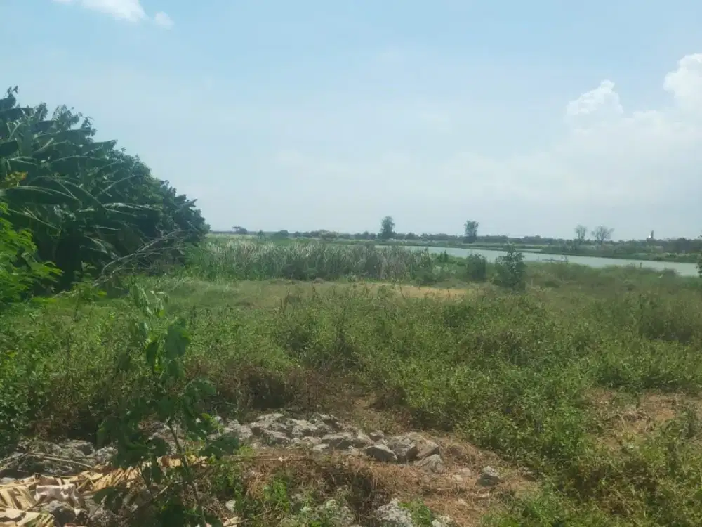Dijual Kavling Strategis Kebomas
