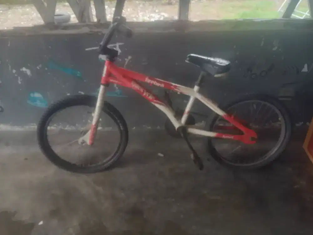 Speda wincycle thundrbir
