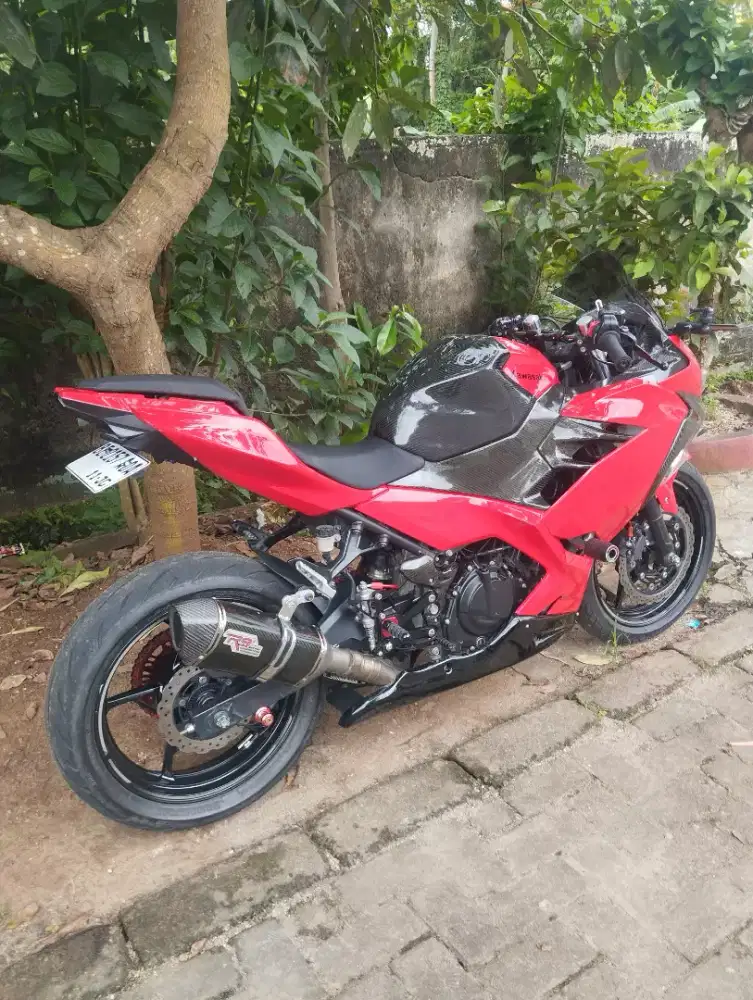 New ninja 250fi