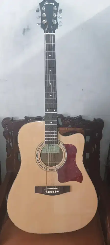 Gitar ibanes custom